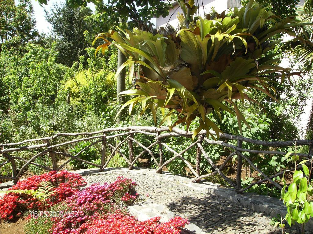Villa Casa Rosa Camacha  Zimmer foto